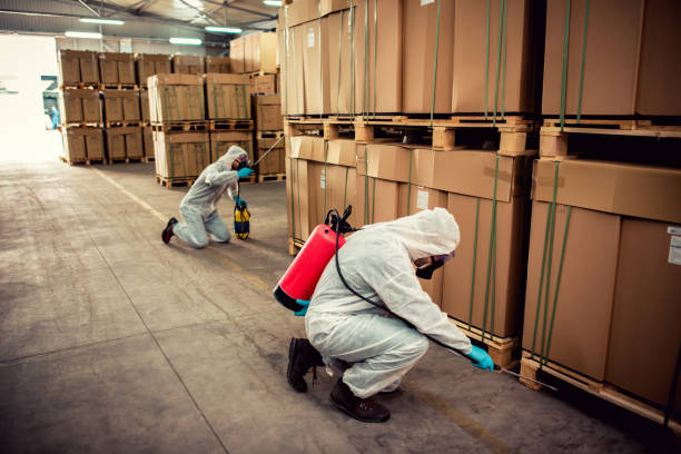 Best Emergency Pest Control  in Lansing, KS