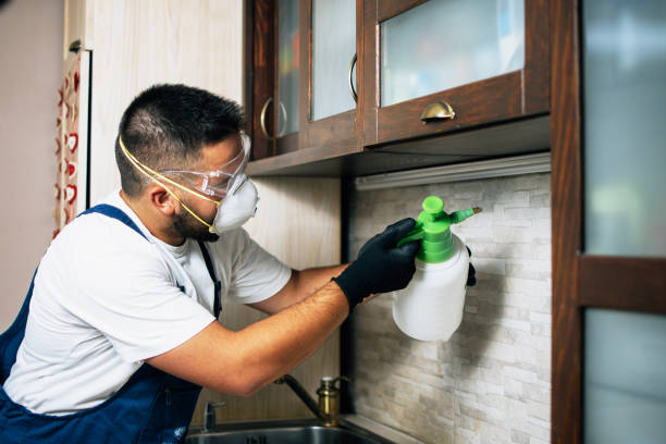 Best Flea Control Services  in Lansing, KS