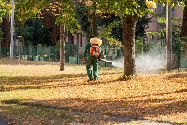 Best Rodent Control Near Me  in Lansing, KS