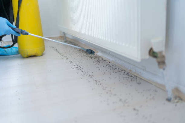 Best Rat Extermination Near Me  in Lansing, KS