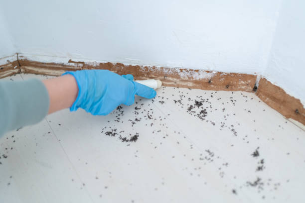 Best Exterminator Services  in Lansing, KS
