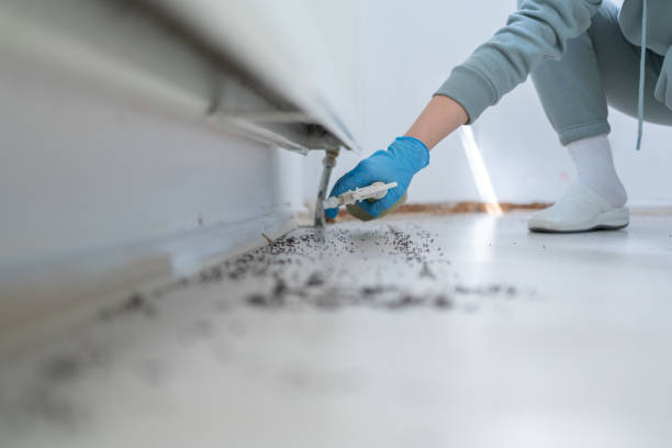 Best Wildlife Control Services  in Lansing, KS